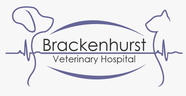 Brackenhurst Vet